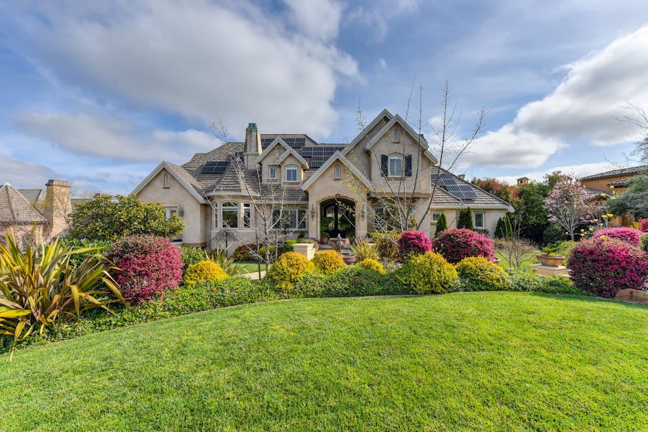 Low Maintenance Landscaping Ideas For Front Yard